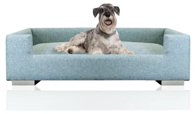 Immagine prodotto di Taglierina per tubi Divano per cani Letto per cani di taglia media e grande, bordo alto, lavabile, robusto tessuto imbottito 100% poliestere, turchese, incl. 2 cuscini decorativi