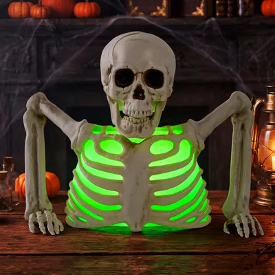 Beleuchtetes Tischskelett, Halloween-Deko, 25x10x19 cm