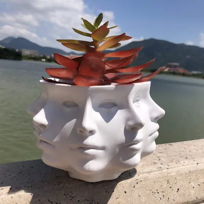 Image de Pot de fleurs multifacettes pour intérieur, avec trou de drainage