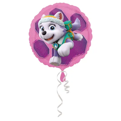 Zdjęcie produktu dla Balon foliowy 43cm Paw Patrol Skye & Everest