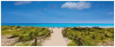 Produktbild von Wallario Premium Glasbild, freischwebende Optik, kräftige Farben, Größe 80 x 32 cm Motiv Sandweg zum blauen Meer mit blauem Himmel
