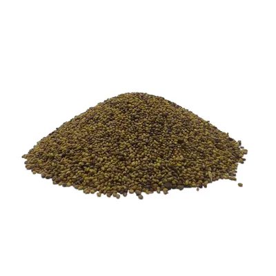 Produktbild von LanDixx Rotklee 2 kg Klee Honigpflanze Kleesaat Futterklee Bienenweide Wiesenklee Trifolium