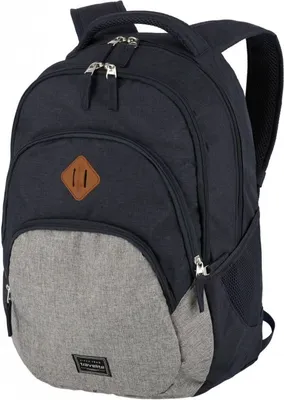 Obrázek produktu pro Travelite BASICS, Uni, 39,6 cm (15.6"), Přihrádka na notebook, Polyester