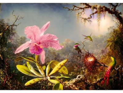 Immagine prodotto di BLUEBIRD Puzzle Katleja a tři kolibříci 1000 dílků