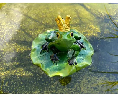 Productafbeelding van Vijverdecoratie kikker vijverfiguur - Zwemmende kikkerkoning - Polyresin - Groen