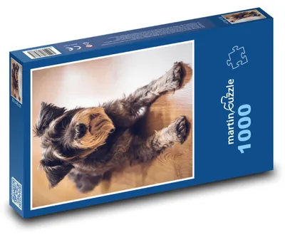 Produktbild von Puzzle 1000 Niedlicher Schnauzer auf dem Boden - martinpuzzle