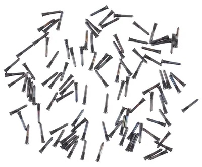 Immagine prodotto di Per Apple iPhone 11 / Pro / Max 100 pezzi. Viti di ricambio per presa di ricarica Ricambio