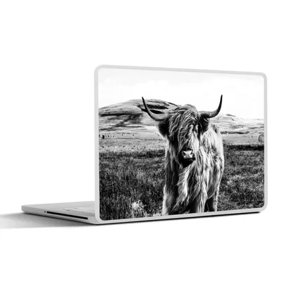Produktbild von MuchoWow® Laptop Aufkleber Sticker Cover Schwarz - Weiß - Schottischer Highlander - Gras 30x22 cm - Laptop-Sticker