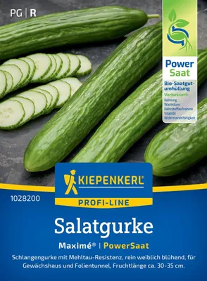 Produktbild von Kiepenkerl Salatgurkensamen Maximé® F1 Cucumis sativus 5 Pflanzen