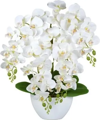Produktbild von Künstliche Orchidee Weiß – Vierblütig, Kunstpflanze im Topf, ca. 60 cm
