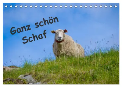 Produktbild von Ganz schön Schaf (Tischkalender 2027 DIN A5 quer), CALVENDO Monatskalender