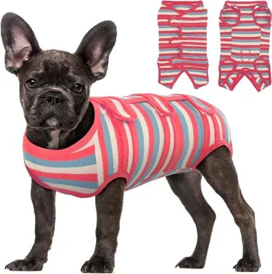 Produktbild von Famanu Hunde-Body nach Operation - Atmungsaktive Schutzkleidung für Hunde und Katzen