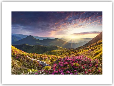 Produktbild von Poster - Poster ohne Rahmen - Gebirge Wiese Landschaft Wald - 40x30 cm - Wand Bild - Wanddeko - Wandbilder - Kunstposter - Wandposter - Bilder - Kunstdruck - Wandbild - P2XAA40x30-3152