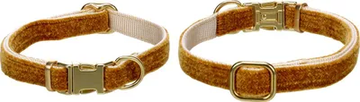 Produktbild von Flamingo Halsband Saba gelb, Größe: XS