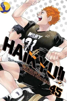Obrázok produktu pre Haikyu!!, Vol. 45