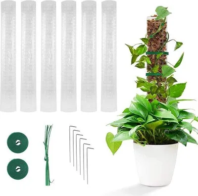 Produktbild von Famanu Moosstäbe 61 cm für Monstera Pflanzen - Set von 6 Moosstäben