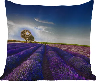 Produktbild von MuchoWow® Outdoor Kissen - Lavendel - Sonne - Baum - Blumen - Lila - 60x60 cm - Wetterfest - Lounge Kissen - Dekoration - Schlaf Kissen