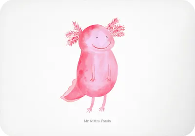 Produktbild von Mr. & Mrs. Panda magnet Axolotl Glücklich - Weiß - Geschenk, zettelhalter, whiteboardmagnet, Kühlschrankmagnet, Pinnwandmagnet, tafelmagnet, Lebensfroh, Schwanzlurch