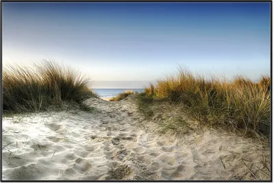 Produktbild von Wallario Wandbild Weg durch die Dünen zum Strand am Meer, Größe: 61 x 91,50 cm, Poster mit schwarzem Aluminiumrahmen