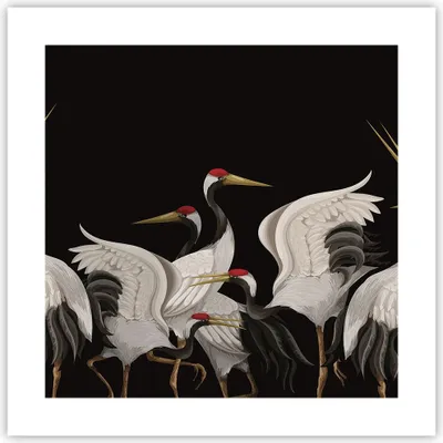 Produktbild von Poster - Poster ohne Rahmen - Kraniche Vögel Grafiken - 40x40 cm - Wand Bild - Wanddeko - Wandbilder - Kunstposter - Wandposter - Bilder - Kunstdruck - Wanddekoration - Wandbild - P2XAC40x40-4748