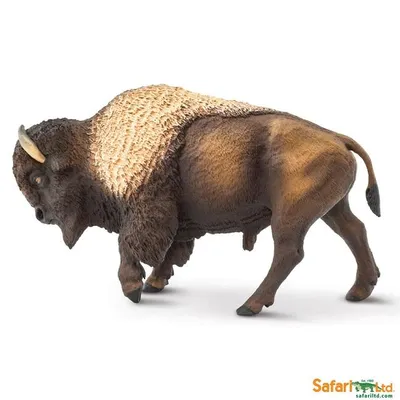 Produktbild von Safari Ltd Nordamerikanischer Bison Figur Braun From 3 Years Kinder Braun From 3 Years