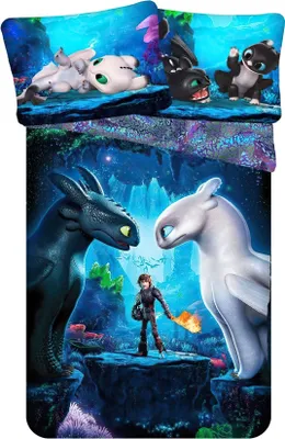 Obrázek produktu pro Jerry Fabrics Bavlněné povlečení 140x200 Dragon Jak uvolnit draka Dragons 6007