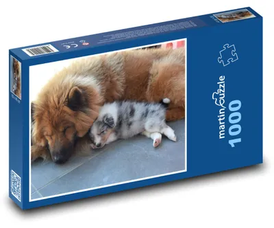 Zdjęcie produktu dla martinpuzzle - Puzzle 1000 - Piesek