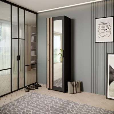 A modern entryway or dressing area with a wardrobe, glass doors, and a rug.