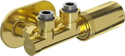 Obrázok produktu pre Mexen G05 termostatická uhlová súprava s krytom R, Duplex, DN50, zlatá - W907-958-905-50