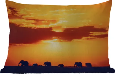 Produktbild von MuchoWow® Outdoor Kissen - Elefanten - Horizont - Sonnenuntergang - Tiere - 60x40 cm - Wetterfest - Lounge Kissen - Zierkissen - Kissen für Innenräume