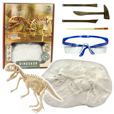 Zdjęcie produktu dla Zestaw do wykopalisk paleontologa Narzędzia do szkieletu dinozaura