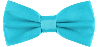 Produktbild von Ladeheid Kinder Jungen Fliege MJ (10cm x 5cm, Turquoise34)
