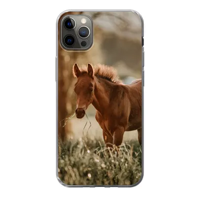 Produktbild von MuchoWow® Handyhülle Schutzhülle Hülle für iPhone 13 Pro Max Pferd - Licht - Wiese Silikon Softcase Handy Hülle - Mobiltelefon