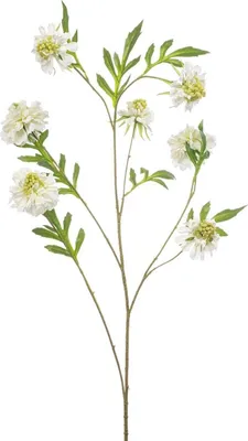 Produktbild von artplants.de Künstlicher Zweig Scabiosa RUXTER, weiß, 115cm - Kunst Scabiosazweig