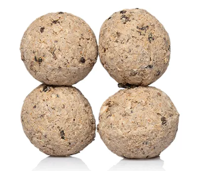 Image de Claus - Boules de graisse d'insectes sans mailles 450G