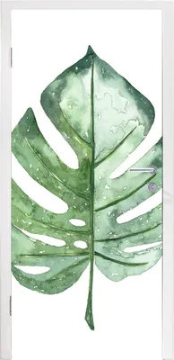Produktbild von MuchoWow® Türtapete Selbstklebende Türfolie Aquarell - Monstera - Blatt 90x215 cm Türposter Türaufkleber Klebefolie Türklebefolie - Plakat an der Tür - Türsticker - Aufklebern