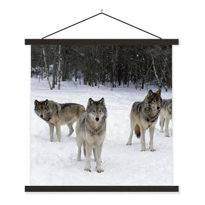Produktbild von MuchoWow® Textilposter Wolf - Schnee - Kanada 60x60 cm mit schwarzem Rahmen - Posteraufhänger