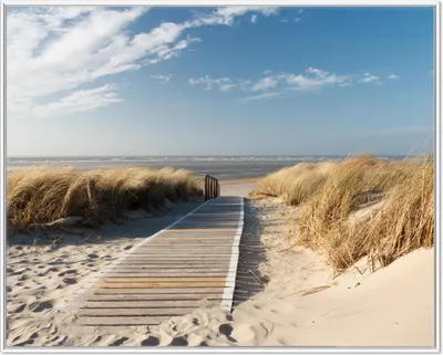 Produktbild von Wallario Wandbild Auf dem Holzweg zum Strand, Größe: 40,30 x 50,30 cm, Poster mit weißem Aluminiumrahmen