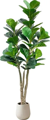Immagine prodotto di Albero artificiale Fiddle Leaf, design realistico, facile da curare, verde, 150 cm
