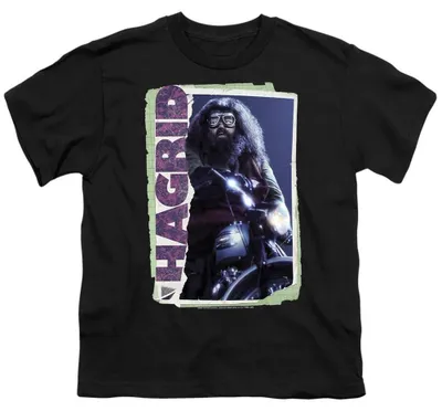 Image de T-shirt Harry Potter pour enfants, en coton ringardé, modèle TV36101 (taille 140-146), couleur noire