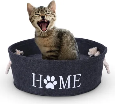 Immagine prodotto di Cesto per gatti Ø40cm - incl. cuscino - letto per gatti "Home" - letto rotondo in feltro per gatti, letto in feltro per gatti - letto per animali con maniglia
