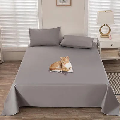 Produktbild von Wasserdichte Hundedecke - Schutzbezug oder Futter - wendbar - Bett oder Sofa - Haustiere - Herren - Grau - 230 x 250 cm