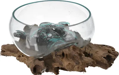 Produktbild von Wurzelholz Vase, Schale, Schüssel - Ø Glas 30 cm M6, Braun, Holz,Glas,Wurzelholz, Vasen & Blumentöpfe