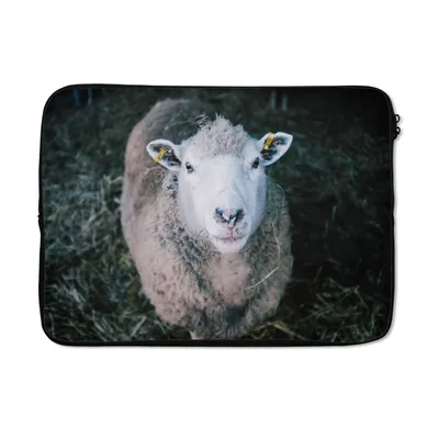 Produktbild von MuchoWow® Laptop Hülle 13 Zoll Schafe - Tiere - Rinder Laptoptasche - Laptophülle - Sleeve - Rundumschutz