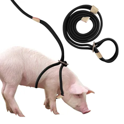 Productafbeelding van Varkensharnas - Verstelbaar tuig - Riem 2,6 m - Nylon
