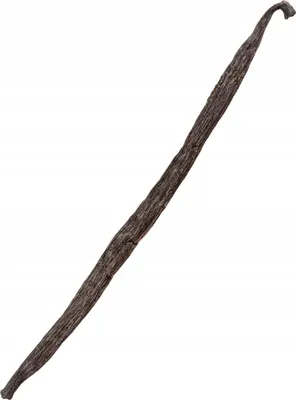 Zdjęcie produktu dla LASKA WANILII 13-16 cm Wanilia Laski Madagaskar Jakość 1 Kol-Pol - 1 sztuka