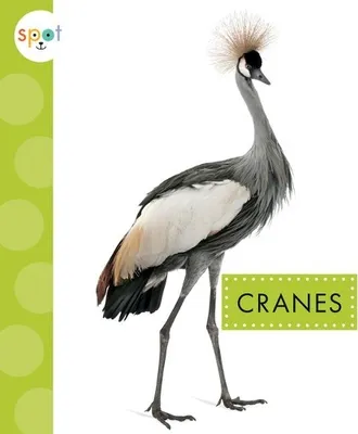 Produktbild von Cranes