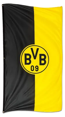 Zdjęcie produktu dla Godło flagi BVB Dortmund 200x100 0