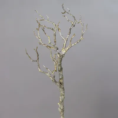 Produktbild von Kunstblume Deko-Zweig 40 cm