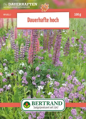 Artikelbild 1 von 'Blumenwiese Mehrjährige hohe Stauden (100 g)'